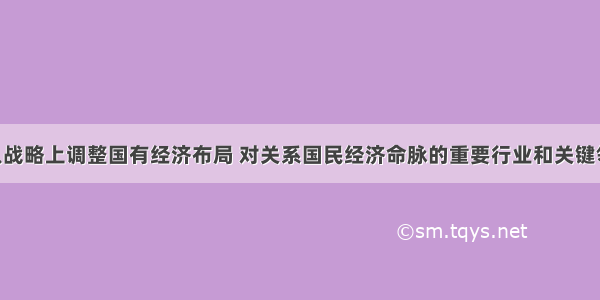 单选题要从战略上调整国有经济布局 对关系国民经济命脉的重要行业和关键领域 国有经