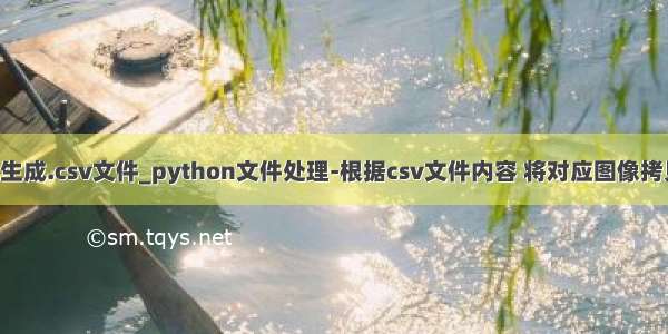 python指定目录生成.csv文件_python文件处理-根据csv文件内容 将对应图像拷贝到指定文件夹...