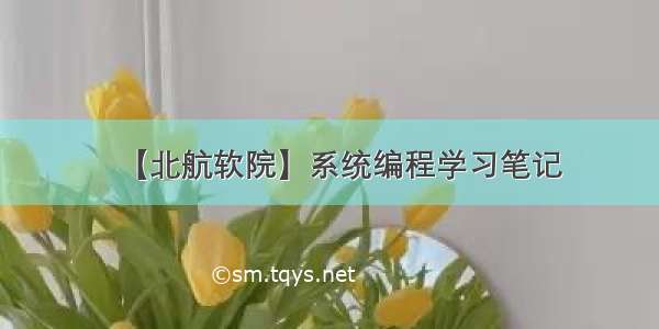 【北航软院】系统编程学习笔记