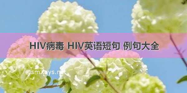 HIV病毒 HIV英语短句 例句大全