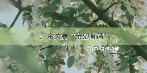 广东夫妻“亲密有间”