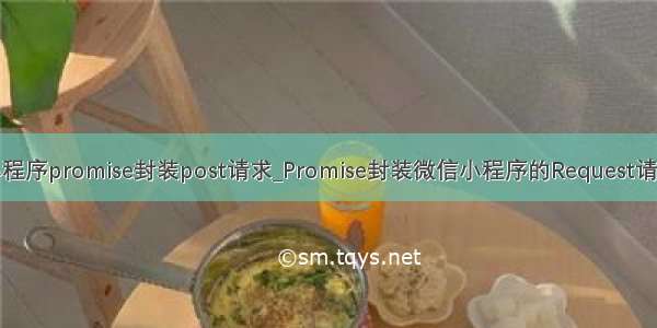 小程序promise封装post请求_Promise封装微信小程序的Request请求