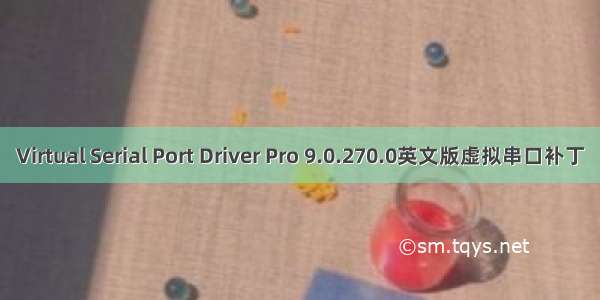 Virtual Serial Port Driver Pro 9.0.270.0英文版虚拟串口补丁