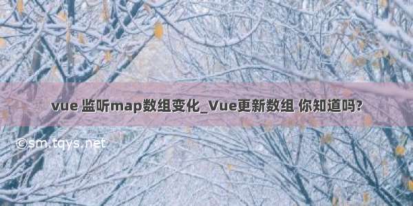 vue 监听map数组变化_Vue更新数组 你知道吗?