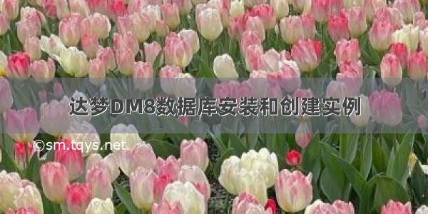 达梦DM8数据库安装和创建实例