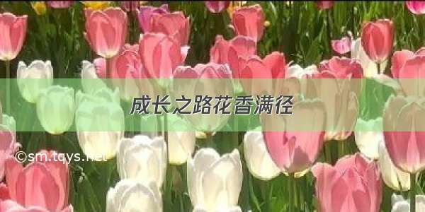 成长之路花香满径