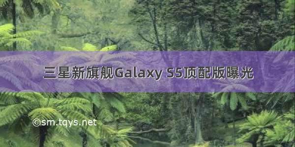 三星新旗舰Galaxy S5顶配版曝光