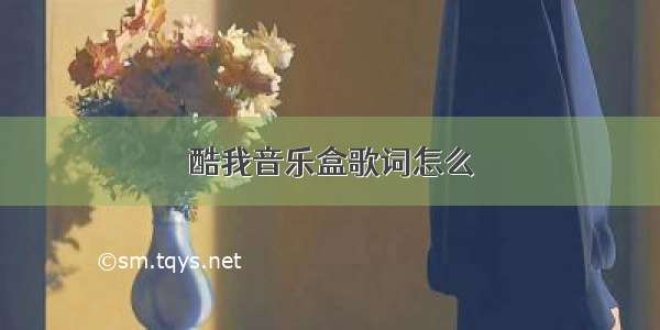 酷我音乐盒歌词怎么