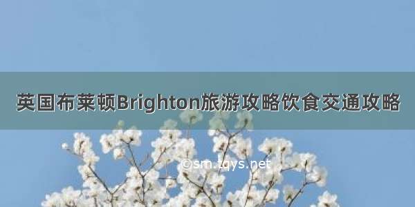 英国布莱顿Brighton旅游攻略饮食交通攻略