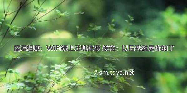 魔道祖师：WiFi绑上汪叽抹额 羡羡：以后我就是你的了