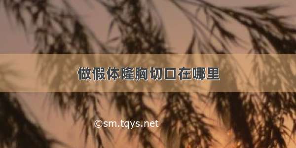 做假体隆胸切口在哪里