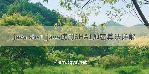 java sha1_java使用SHA1加密算法详解