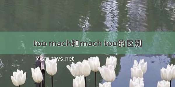 too mach和mach too的区别