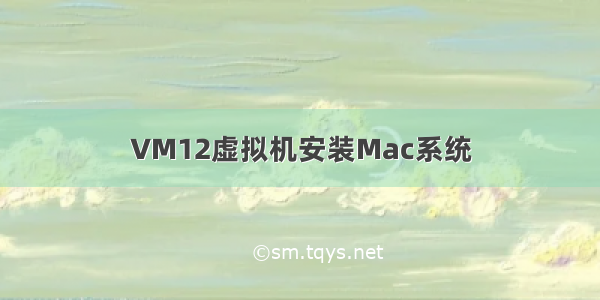 VM12虚拟机安装Mac系统