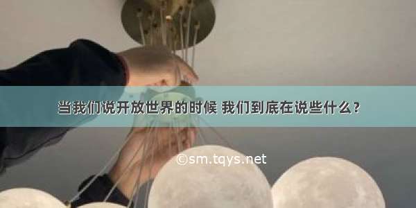 当我们说开放世界的时候 我们到底在说些什么？