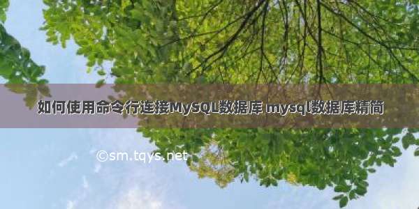 如何使用命令行连接MySQL数据库 mysql数据库精简