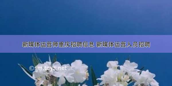 新媒体运营师重庆招聘信息 新媒体运营人员招聘