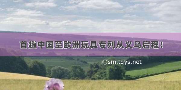 首趟中国至欧洲玩具专列从义乌启程！