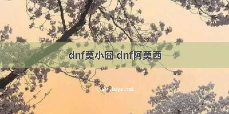 dnf莫小囧 dnf阿莫西