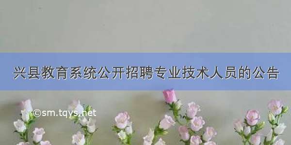 兴县教育系统公开招聘专业技术人员的公告