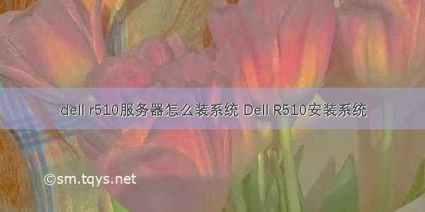 dell r510服务器怎么装系统 Dell R510安装系统