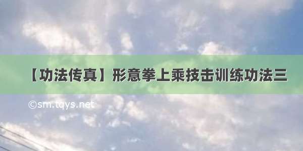 【功法传真】形意拳上乘技击训练功法三