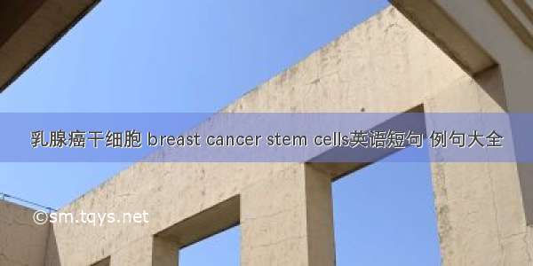 乳腺癌干细胞 breast cancer stem cells英语短句 例句大全