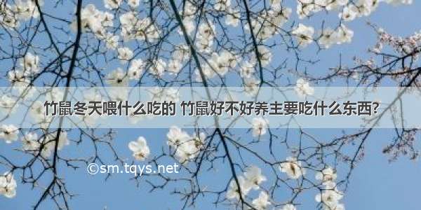 竹鼠冬天喂什么吃的 竹鼠好不好养主要吃什么东西?