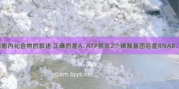 下列关于细胞内化合物的叙述 正确的是A. ATP脱去2个磷酸基团后是RNAB. 糖原代谢的