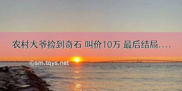 农村大爷捡到奇石 叫价10万 最后结局....