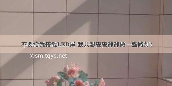 不要给我搭载LED屏 我只想安安静静做一盏路灯！