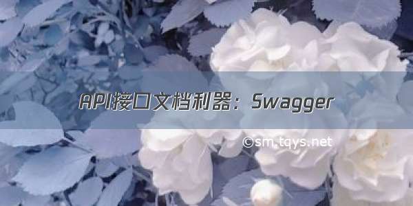 API接口文档利器：Swagger