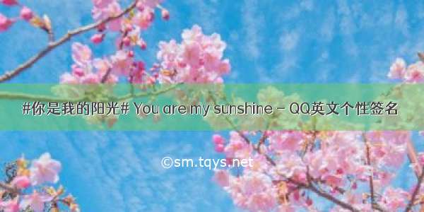 #你是我的阳光# You are my sunshine - QQ英文个性签名