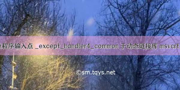 无法定位程序输入点 _except_handler4_common 于动态链接库 msvcrt.dll 上