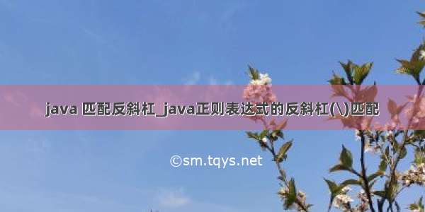 java 匹配反斜杠_java正则表达式的反斜杠(\)匹配