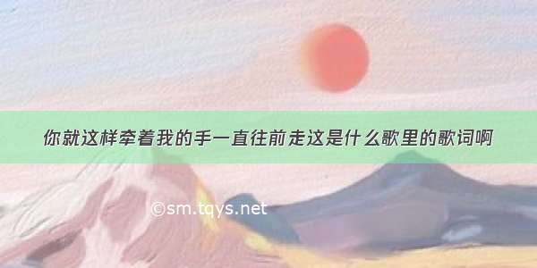 你就这样牵着我的手一直往前走这是什么歌里的歌词啊