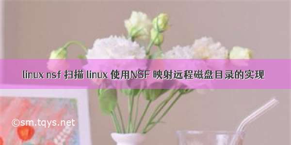 linux nsf 扫描 linux 使用NSF 映射远程磁盘目录的实现