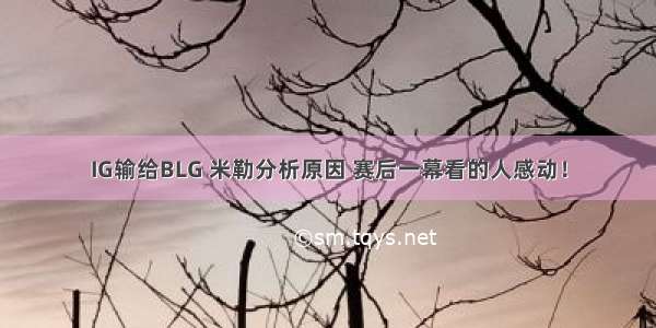 IG输给BLG 米勒分析原因 赛后一幕看的人感动！