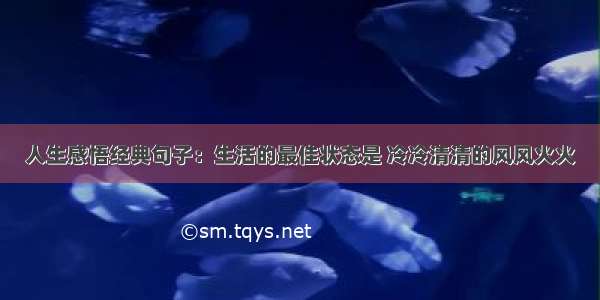 人生感悟经典句子：生活的最佳状态是 冷冷清清的风风火火