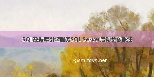 SQL数据库引擎服务SQL Server启动参数概述