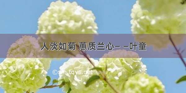 人淡如菊 蕙质兰心— —叶童