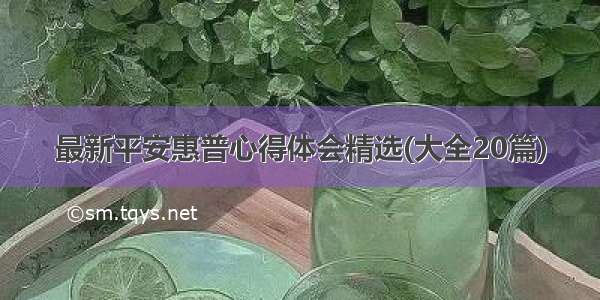 最新平安惠普心得体会精选(大全20篇)