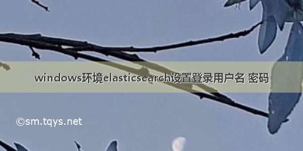 windows环境elasticsearch设置登录用户名 密码