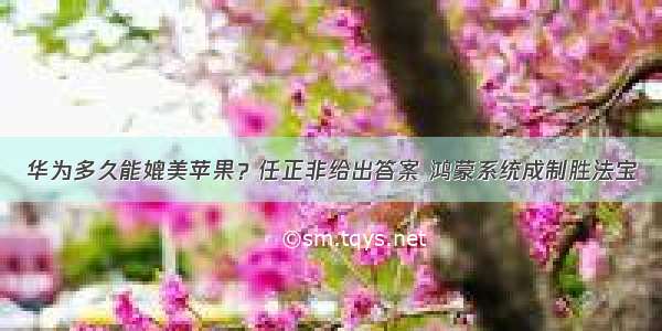 华为多久能媲美苹果？任正非给出答案 鸿蒙系统成制胜法宝