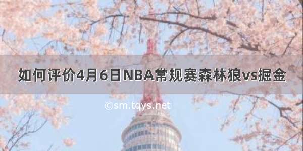 如何评价4月6日NBA常规赛森林狼vs掘金