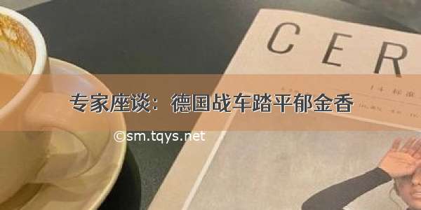 专家座谈：德国战车踏平郁金香