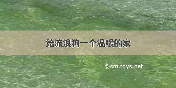 给流浪狗一个温暖的家