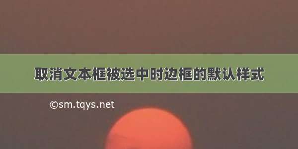 取消文本框被选中时边框的默认样式