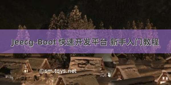 Jeecg-Boot 快速开发平台 新手入门教程