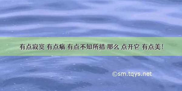 有点寂寞 有点痛 有点不知所措 那么 点开它 有点美！